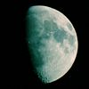 Mond