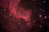 NGC7000