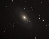 M81